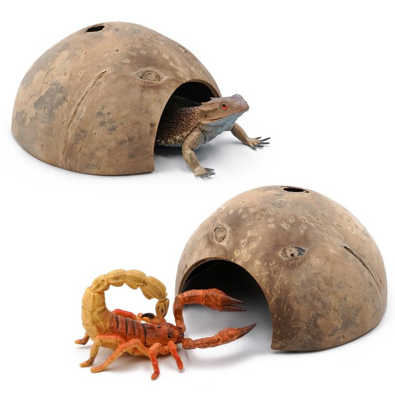Hüllő barlang Rejtős teknős Bújás Élőhely barlang Természetes kókuszdióhéj Hüllő garnélaház Akvárium Akvárium Dísz