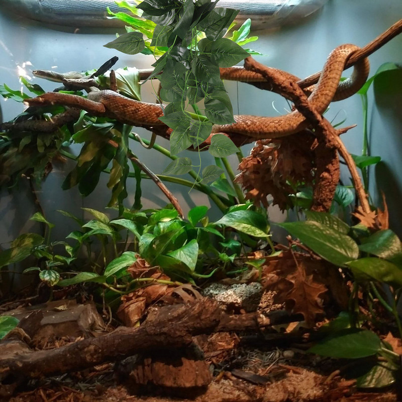 Háziállat hüllők terráriumok Növények Dekoráció Zöld Teknős Akvárium Tereprendezés Műanyag Szimulált Dísz Terrárium Mesterséges