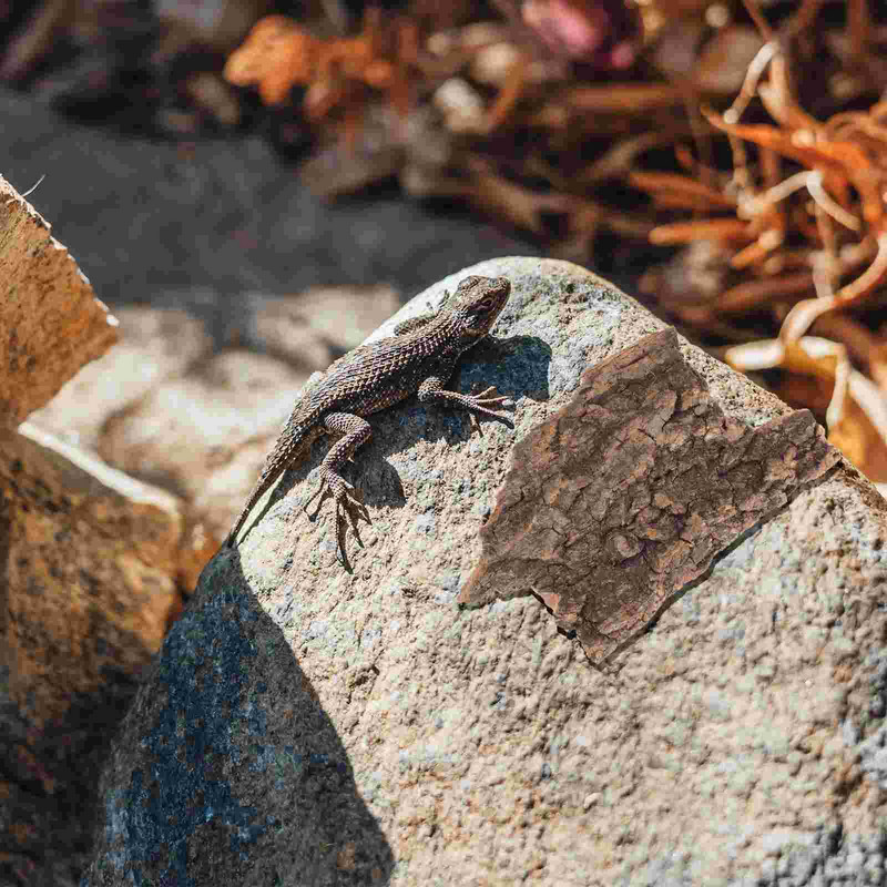 10 db mesterséges kéreg kétlábú hüllőfa elrejtő teknős fa dekor gyík mászó parafa hüllők barlang
