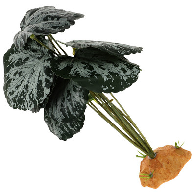 Hegymászó kisállatdoboz hamis dekoráció dísz terrárium szimulált akvárium tereprendezés hüllő dekoráció dísz dekoratív pók