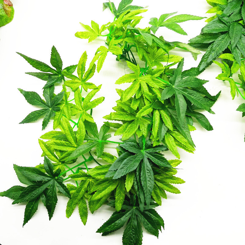 Ερπετό Terrarium Φυτική Διακόσμηση Ερπετόφυτα με βεντούζα για αμφίβια σαύρα Φίδι αναρρίχησης κατοικίδιων ζώων Δεξαμενή Διακόσμηση βιότοπων