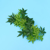 12 hüvelykes hüllőszimulációs növények terráriumi rattan és levelek tapadókoronggal díszítve