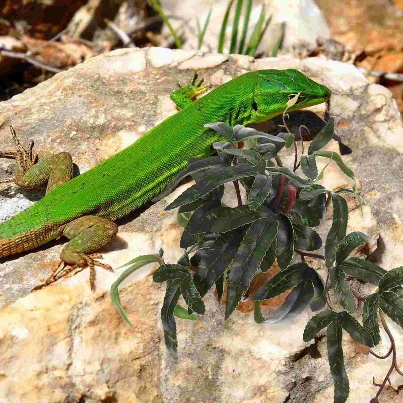 Προμήθειες τοπίου τοπίου για κατοικίδια Leopard Gecko Διακοσμητική διάταξη Φυτά προσομοίωσης Faux Aquarium Reptile Box