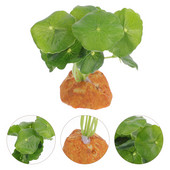 Tank akvárium tereprendezés hüllő gyík dísz műanyag dekor Hegymászó kisállat pók