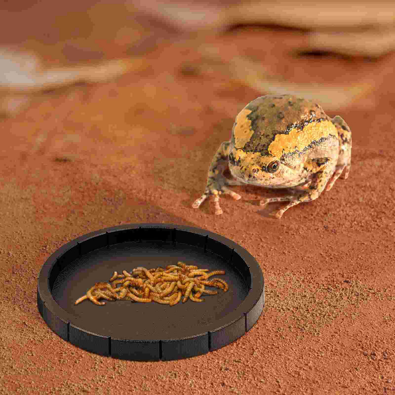 Kisállatevő tálak Etetők Teknősbékák Hüllők etetése Műanyag gyíkok Gekkók Tartozékok Terrárium