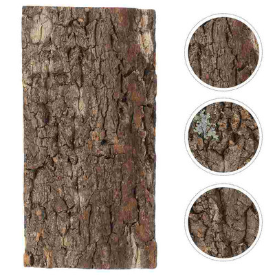 Kisállat akvárium tereprendezés háttér akvárium tábla hüllő táblák tájkép fotózás