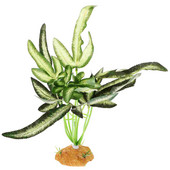 Hüllők Terráriumi Kiegészítők Dekoratív Élőhelyek Díszek Mesterséges Akváriumi Kellékek Zöld