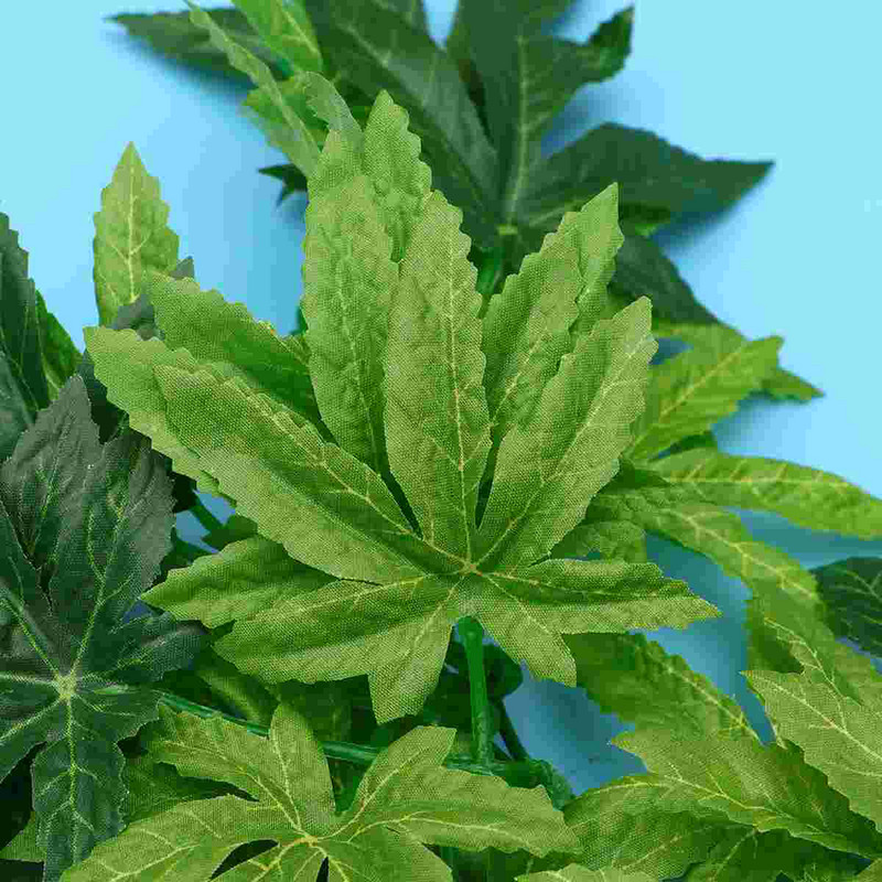 12 hüvelykes öv Artificiales Para akvárium-tartozékok