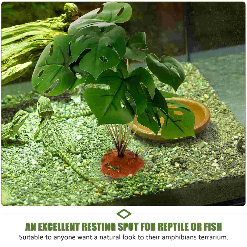 Hüllők élőhelyei Terrárium Tájnövények Dekoráció Tartálytartozékok Dekoratív díszek