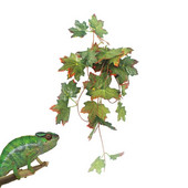 Mesterséges trópusi növények hüllők mesterséges levelek trópusi növények szőlő tartály levelek dekor valósághű vízálló növények tartály