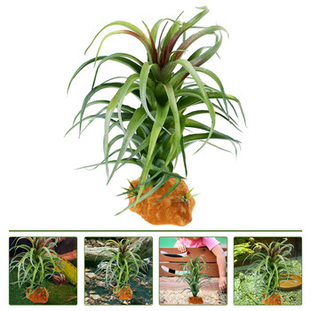 Ερπετοδεξαμενη Φυτα Κατοικια Ζωη Τερραριου Στολιδι Πλαστική προσομοίωση Ψεύτικα φυτά εσωτερικού χώρου