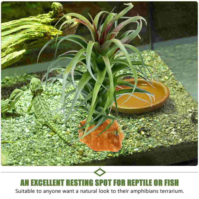 Hüllők Tanknövények Háziállatok Terrárium Dísz Műanyag Szimuláció Hamis táj szobanövények