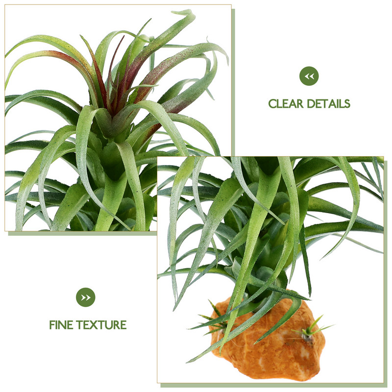 Szobanövények Akvárium Hamis terrárium mesterséges díszek tereprendezés műanyag tájdísz