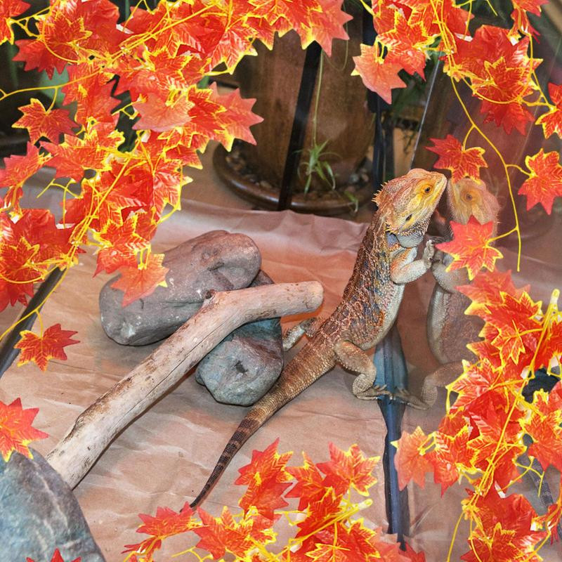 Hüllők Növények Mesterséges Mesterséges Levelek Trópusi Növények Szőlőtőke Tanklevelek Dekoráció Reális vízálló növények Tartályos élőhely