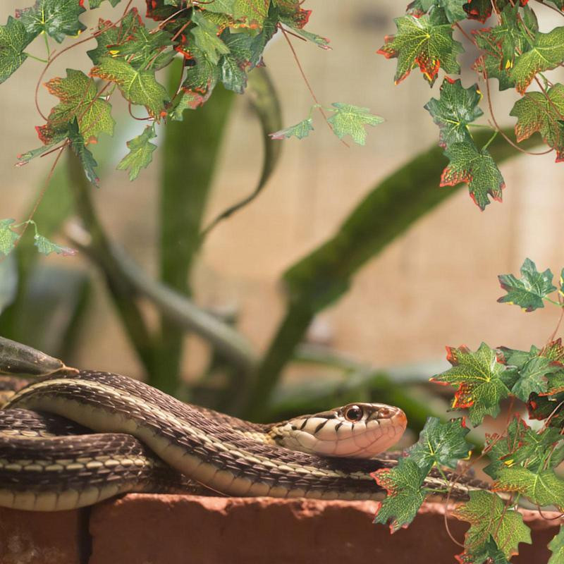 Mesterséges hüllők Növények Tartály Levelek Dekor Növények Tartály Élőhely Dekor Reális Vízálló Növények Tartály Élőhely Dekoráció