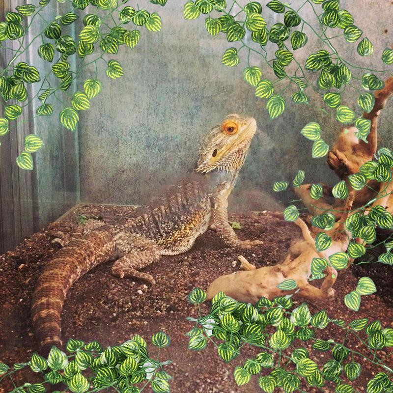 Mesterséges hüllők Növények Tartály Levelek Dekor Növények Tartály Élőhely Dekor Reális Vízálló Növények Tartály Élőhely Dekoráció