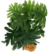 Dirbtiniai augalai Driežas Terariumas Dekorai Roplių buveinės Vėžlio dėžutė Dirbtinis Ornamentas Plastikiniai Priedai Dekoratyviniai