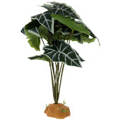 Vėžlio dėžutės žuvų bako ornamentas voras roplių terariumas Slėpti dekoratyvinius augalus Dirbtinis gyvūnas