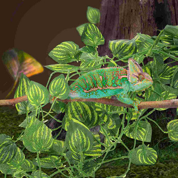 Κέλυφος Fake Vine Plants Gecko Tank Artificial Leaves Decor Amphipod Imitated Terrarium Landscape Climb Lizards Geckos Cage