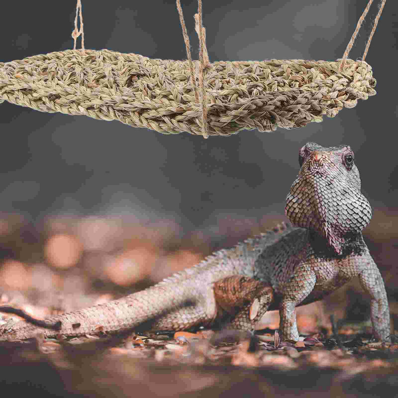 Gyík Függőágy Hüllő Állatok Játék Kígyó Alvóágy Háló hinta Hüllők lógó