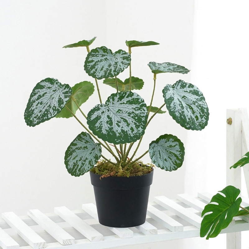 Mesterséges függő növény hüllő dzsungel Növény hüllő mászó ág hüllő élőhely dekoráció akvárium dekoráció növény M68E