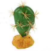 Állati kellékek Akvárium növények Élőhely Hamis dekoratív dísznövények akváriumi növényekhez