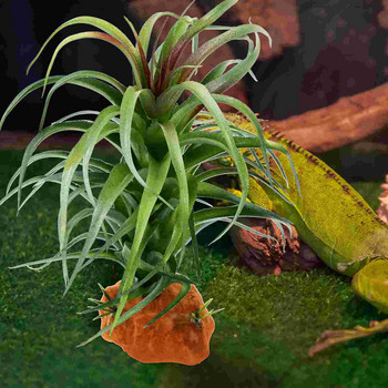Begonia Fake Plants Ερπετά Τεχνητά φυτά εσωτερικού χώρου Προσομοίωση Ζώων Πλαστικό Terrarium Simulated