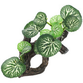 Akvariumo papuošalai Dirbtinės puošmenos urvų dekoravimas Roplių terariumas