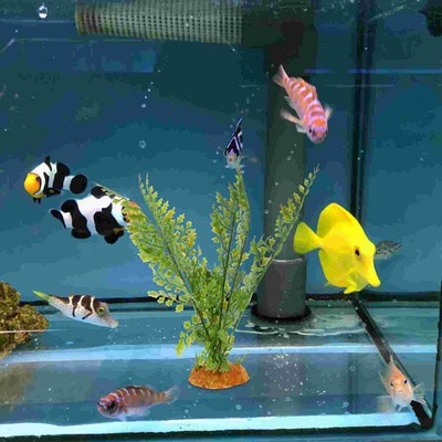 Hüllők Terrárium Akvárium Tereprendezés Műhal kiegészítők Dísz