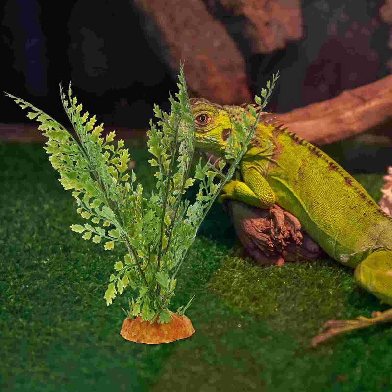 Hüllők Terrárium Akvárium Tereprendezés Műhal kiegészítők Dísz