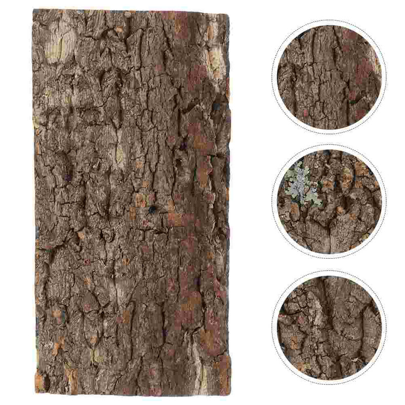 Lapos Cipők Parafa kéreg hüllő tanktábla hal háttér Terrárium Akvárium hátterek