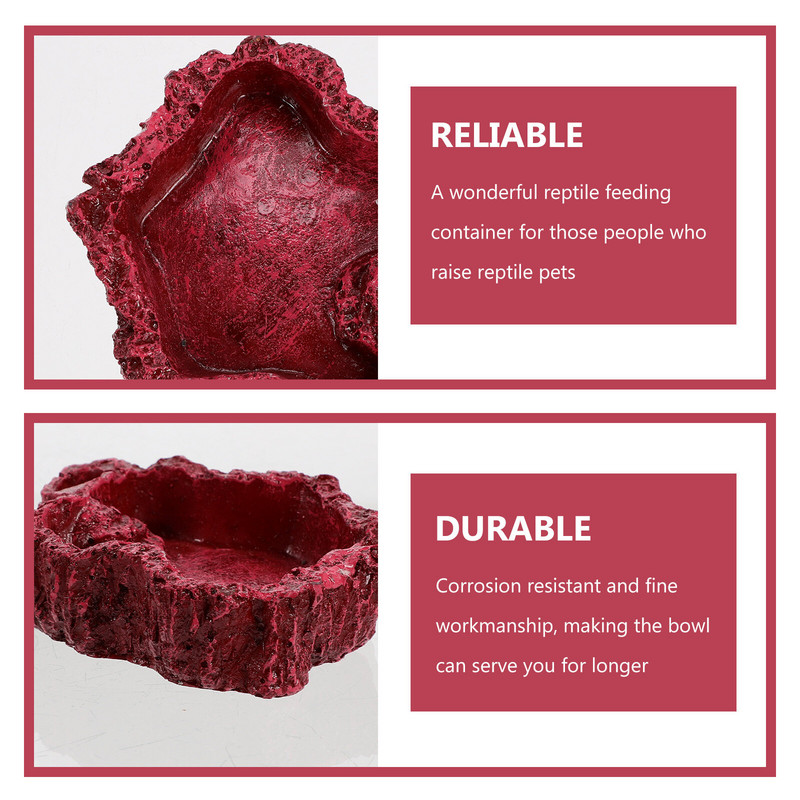 Állati tányér hüllő táplálék edények gyantás edény terráriumi etető díszíti teknősvíz