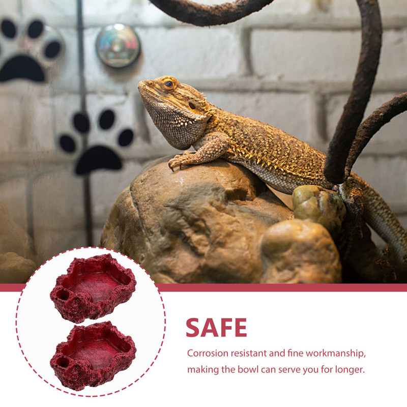 Állati tányér hüllő táplálék edények gyantás edény terráriumi etető díszíti teknősvíz