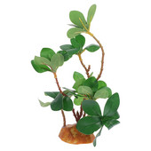 Stiklinės talpyklos dėžutė roplių reikmenys bakas terariumas plastikinis modeliavimas dekoras kraštovaizdis žuvis