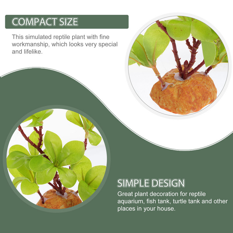 Üvegtartályok doboz hüllő kellékek tartály terrárium műanyag szimuláció dekoráció táj halak