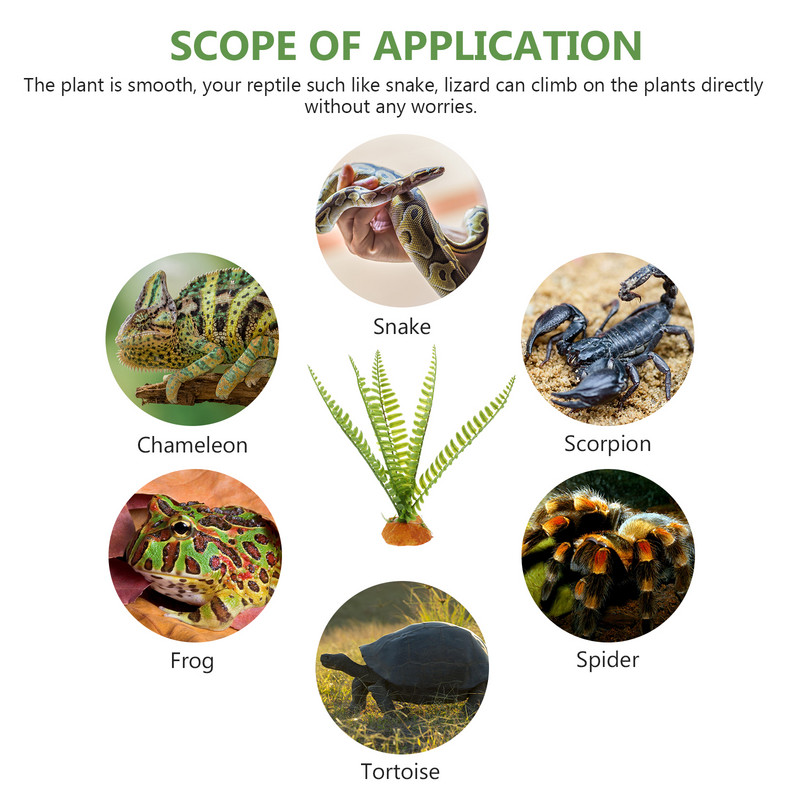 Dobozos gyíktartály-tartozékok Akvárium dekoráció Dísz pókhal dekoráció Mesterséges hamis akvárium Díszítő élőhelyek