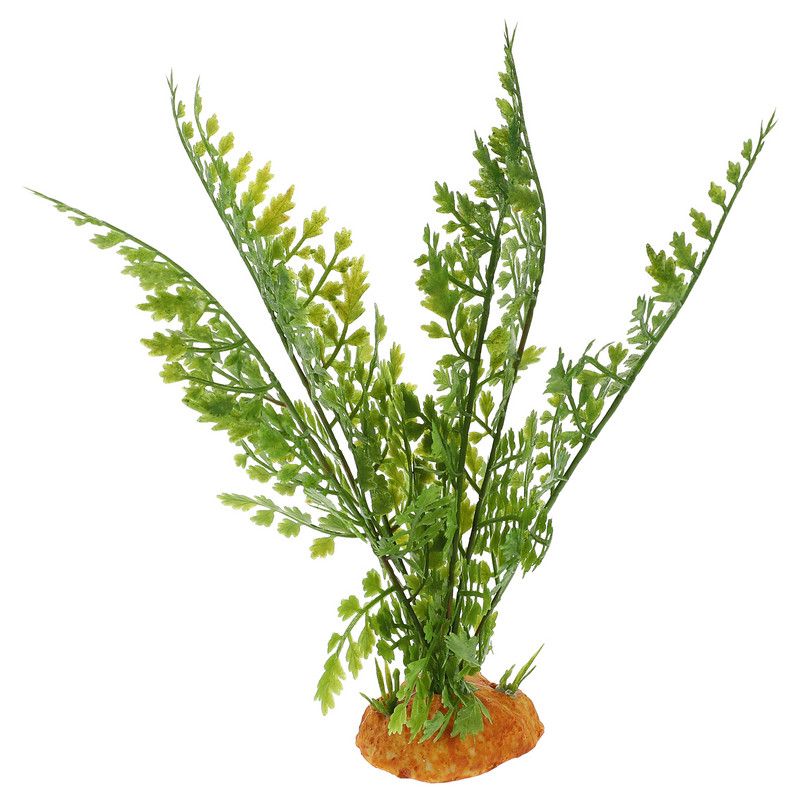 Dobozos gyíktartály-tartozékok Akvárium dekoráció Dísz pókhal dekoráció Mesterséges hamis akvárium Díszítő élőhelyek