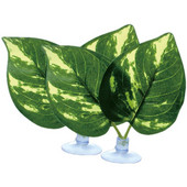 Žuvų rezervuaro lapų dekoras 2 vnt. dirbtinis akvariumo augalų ornamentas su siurbtukais Žuvų buveinės imitacinis lapų namų dekoras