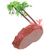 Adagoló Kisállateledel Tároló Medence Terrárium Tartály Tál Terrárium Tartály Kiegészítők Gyík etető tartó Tartály