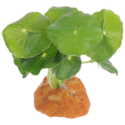 Barzdos roplių terariumo dekoras Netikri augalai Akvariumo urvų dekoravimas Dirbtinis