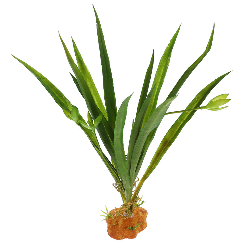 Haldíszek akváriumhoz Állatok Dekoráció Élethű díszek Póktartály Tartozékok Növények Élőhelyek