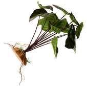 Roplių akvariumo varliagyvių slėptuvė netikrų roplių dėžutės ornamentas plastikinis vėžlių buveinės kraštovaizdis terariumo dekoracijos