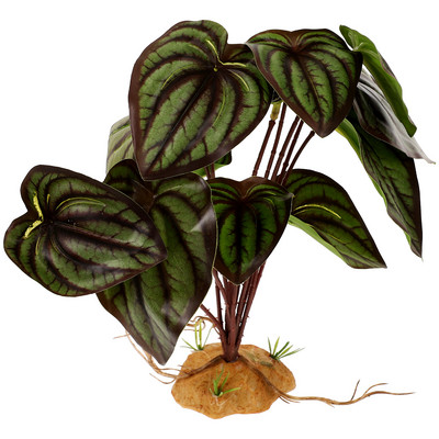 Roplių akvariumo varliagyvių slėptuvė netikrų roplių dėžutės ornamentas plastikinis vėžlių buveinės kraštovaizdis terariumo dekoracijos