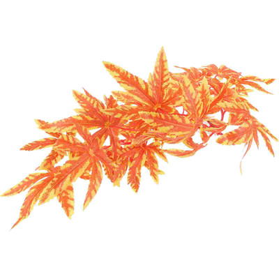 Laipiojimo vynmedžiai Padirbti vynmedžiai Žuvis Stiklas Žuvis Boulingas Ropliai Augalai Rezervuarai Akvariumo dekoracijos