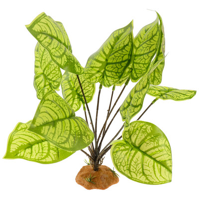 Ropliai Plastikinė slėptuvė Akvariumas Terariumas Kraštovaizdžio dekoravimas Ornamentas Gyvatės rezervuaras Slepiasi urvas Netikros buveinės Driežas Vynmedžiai Namelis Gyvūnas