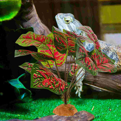 Ropliai Plastikinė slėptuvė Akvariumas Terariumas Kraštovaizdžio dekoravimas Ornamentas Gyvatės rezervuaras Slepiasi urvas Netikros buveinės Driežas Vynmedžiai Namelis Gyvūnas