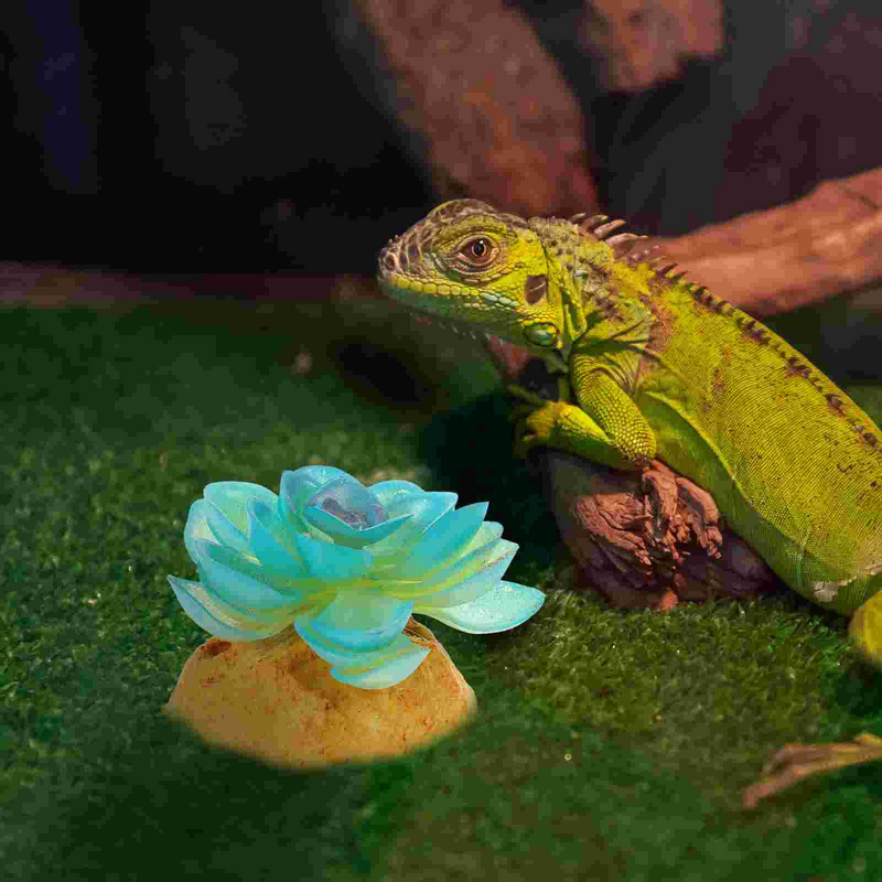 Gyík Növények Hüllők Élőhelyek Dekoratív Terrárium Tájkép Teknős Kiegészítők Dekorációk Akvárium Hamis mesterséges akvárium