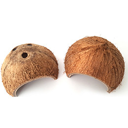 Természetes kókuszdióhéj hüllő rejtett élőhelye kisállat kisállat pókgyík barlangfészek hüllők rejtőzködő ketrece Hörcsög menedékház