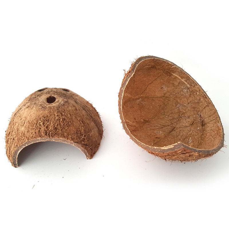 Természetes kókuszdióhéj hüllő rejtett élőhelye kisállat kisállat pókgyík barlangfészek hüllők rejtőzködő ketrece Hörcsög menedékház