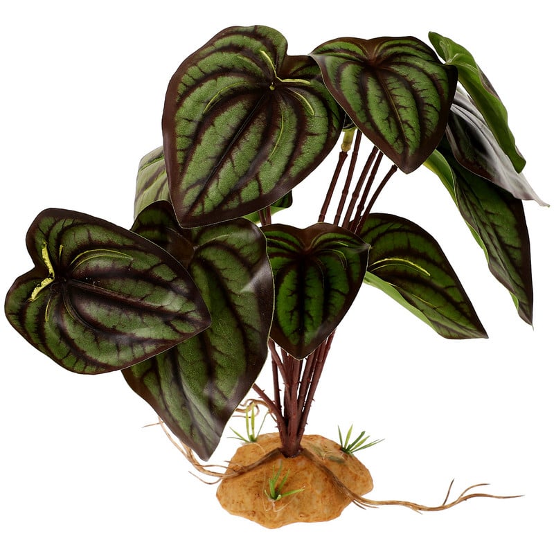 Dekor Akvárium Hamis hüllő Terrárium Élethű Dísz szimuláció Dísznövények Pók